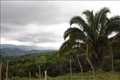 Area where the school was up in the mountains. We were an hour from Panama: by kendal00, Views[222]