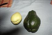 2 types of chayotes (squash): by kendal00, Views[897]