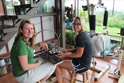 Grinding cocoa beans so we can make chocolate caliente