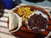 Hearts of palm, arroz y frijoles, tortilla : by kendal00, Views[311]