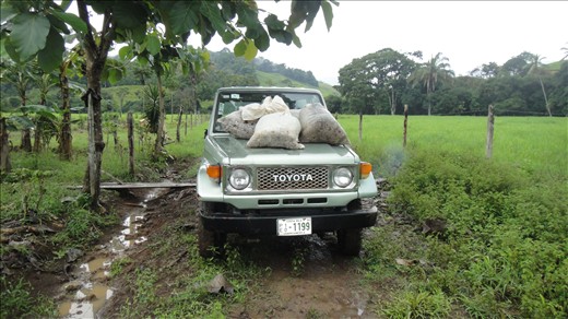 Transporting compost
