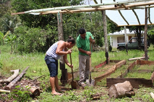 Digging a trench around the greenhouse for the rain