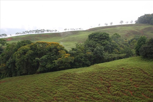 Countryside on the way to the beach (Pacific side)