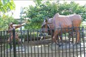 Park in San Isidro: by kendal00, Views[241]