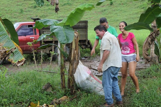 Moving bags of compost 