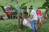 Moving bags of compost : by kendal00, Views[252]