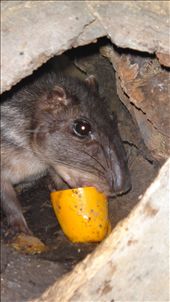 by kendal00, Views[212]