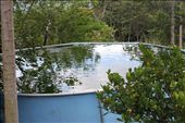 Tilapia pond: by kendal00, Views[204]