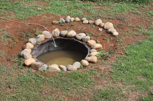 Frog pond - not supposed to be but they jump in every night. Located right under my room