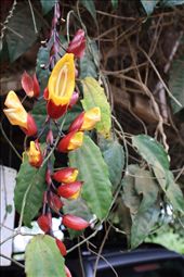 by kendal00, Views[257]