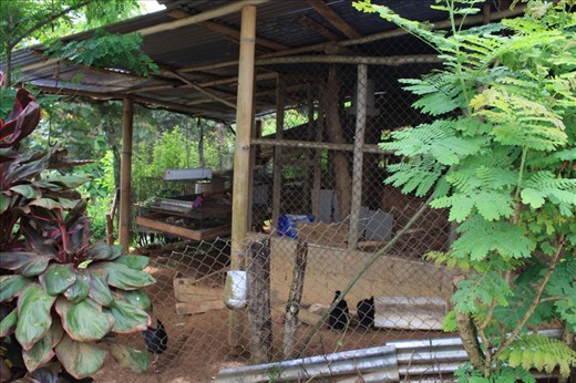 Chicken coop