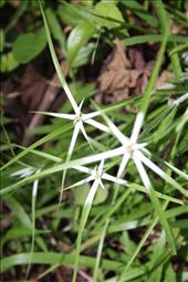 by kendal00, Views[206]