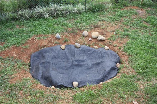 Resolved sapo (frog) pond