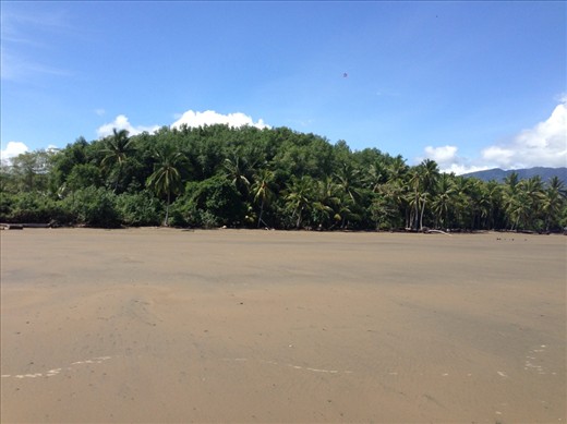 Sand beach 19km south of Domincal