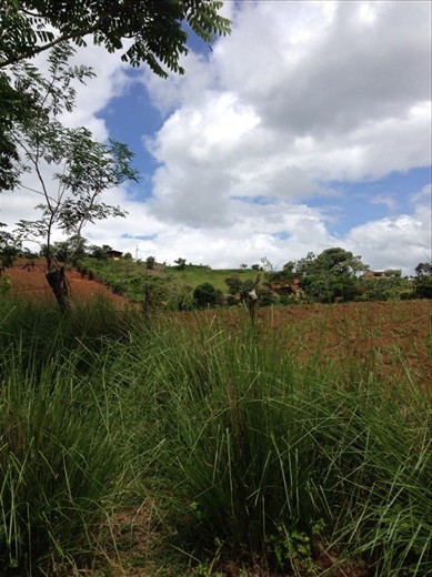 Picture of neighbors house at top of the hill. Taken where I'm planting the grass.