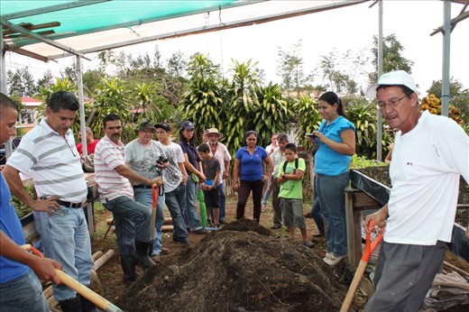 Examining the compost after 3 weeks