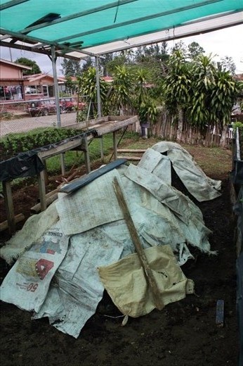 Compost pile ready for part 2
