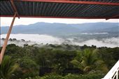 Foggy morning: by kendal00, Views[301]