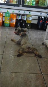 by kendal00, Views[348]