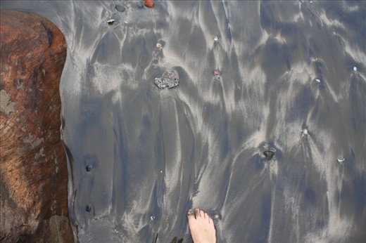 Toes in the water...