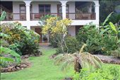 Back of the casa: by kendal00, Views[410]