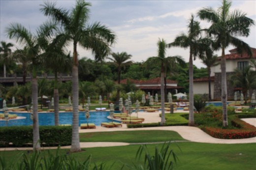 Pool view from my room