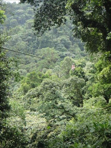 Zipline