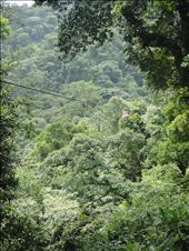 Zipline: by kendal00, Views[217]