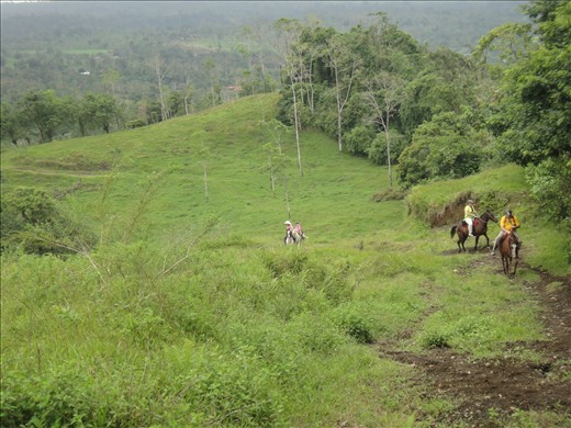 Hill Mariposa ran up!