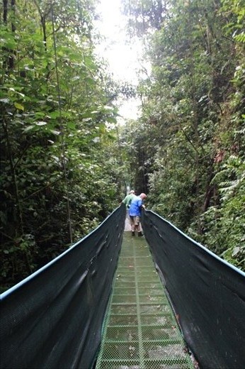 Hanging bridge