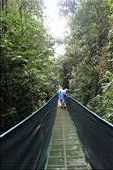Hanging bridge: by kendal00, Views[246]