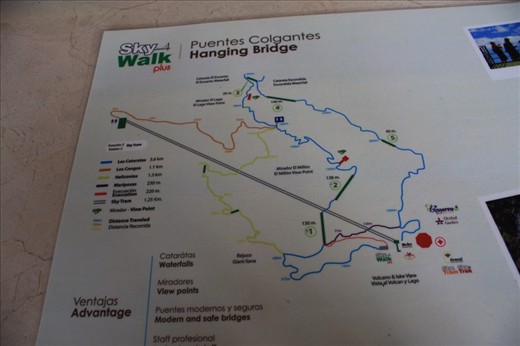 Rainforest hiking path