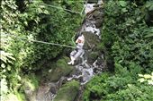 by kendal00, Views[409]