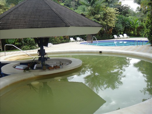 Hot springs wet bar - Arenal Paraiso