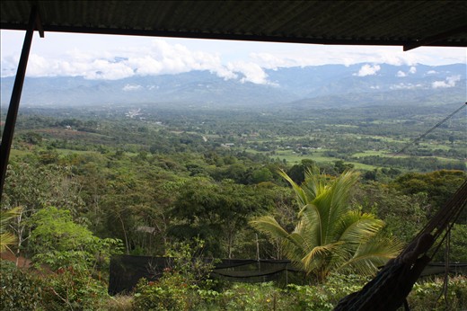 Day view from my room