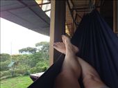 My siesta hammock: by kendal00, Views[279]
