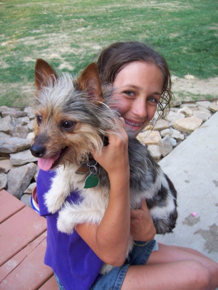 Brady O’Mailly Pry, the only dog (rat terrier) of my host family at the time. Cute but vicious, will bite especially when anyone try to pick him up. Not the case with my host cousin, wonders of nature. West Sunbury, Pennsylvania, USA.