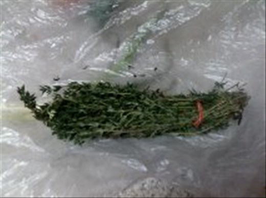 thyme