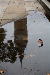 That moment when all the elements align to create an image. Big Ben, London.: by kerri_dawn, Views[506]