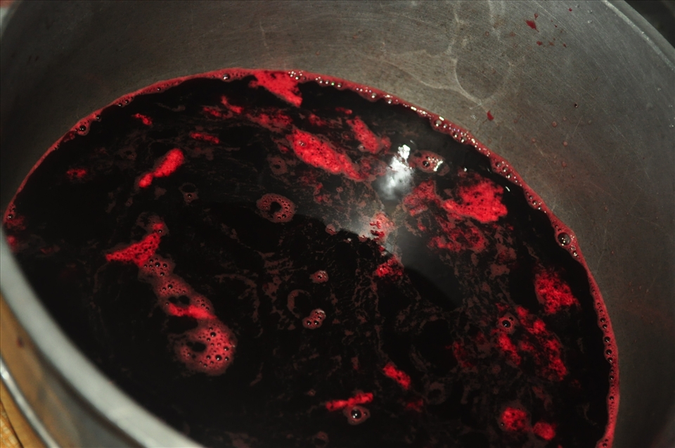 Pig Blood