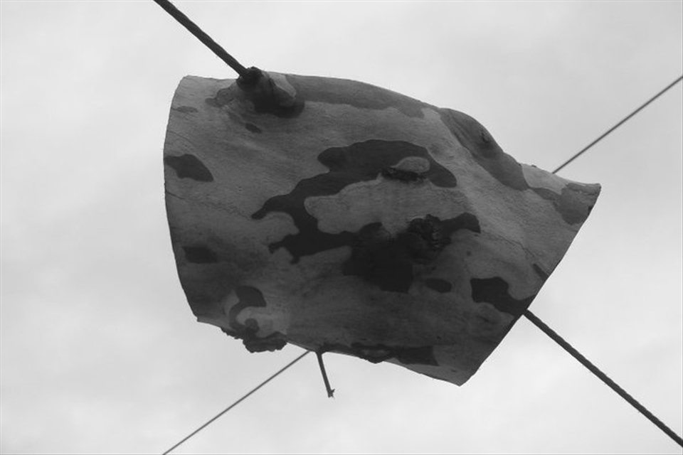 Overtime, a tree will overcome anything. 