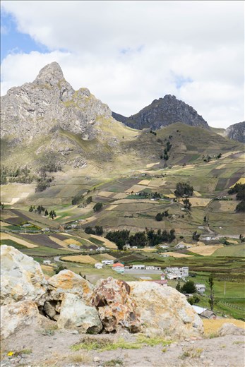 Hearty farmers leave no mountainside unplanted