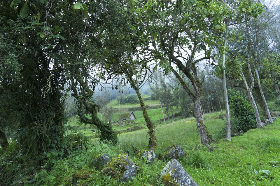 Retreat to the mountains of Pillaro