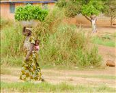 Women of the villages do all of the work and care for the children: by kevinwenning, Views[123]