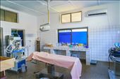 Operating Room - St Elizabeth Catholic Hospital at Hwidiem: by kevinwenning, Views[461]