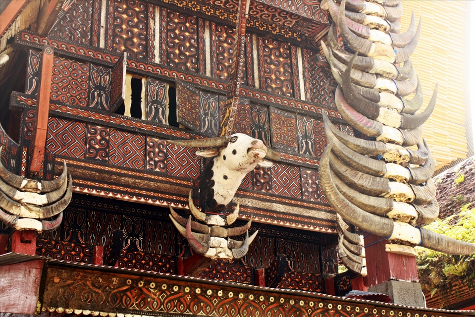 the more buffalo horns visible, the higher the household's status and albino buffalo is the most expensive in Toraja