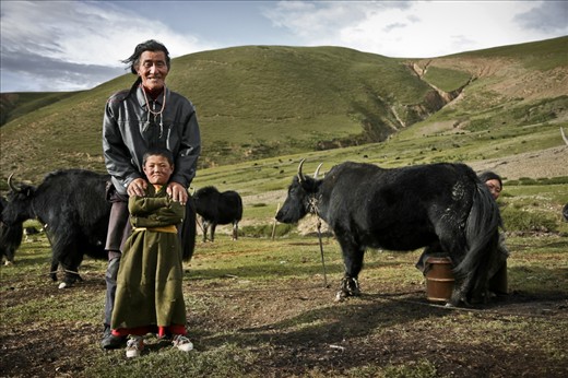 At the end of the day, it's time to milk the yaks, their most valuable possession. The kids collect them around the near valleys as the olders take the milk. In the photos are Baba, Nyima and Mother.