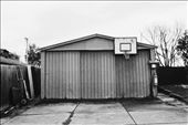 As teenagers we were aware of the town’s perceived ugliness. We could see it formalized in the built environment and we could feel it harboured in the attitudes of many of the residents. 'The childhood home of one of my dearest friends. Along with having the space for a backyard the suburban shed might be considered one of the luxuries afforded to those living in the outer suburban sprawl.': by kial_, Views[658]
