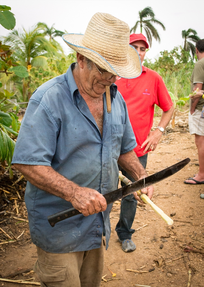 A Cuban farmer smoking a cigar and preparing sugar cane for his guests