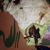 by kikkijayne, Views[161]